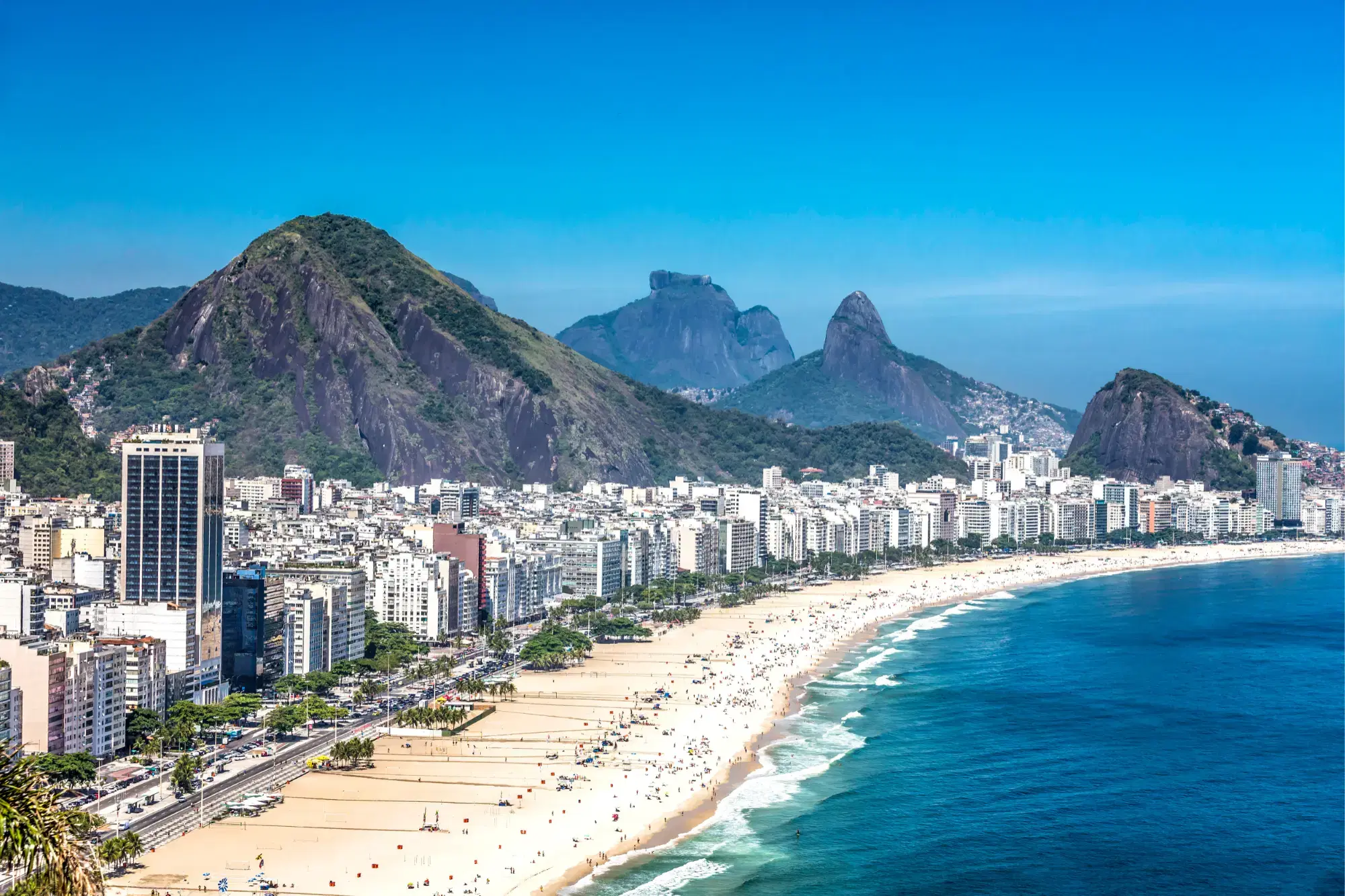 Servizi di Traduzione in Portoghese Brasiliano