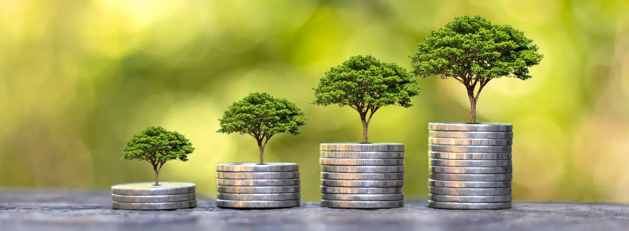 Global Translation Services for Business Growth